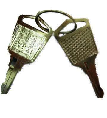 KEY-134 Gent Panel Access Key - (Pair) for 3400 & 3260 Panels - Fire Trade Supplies