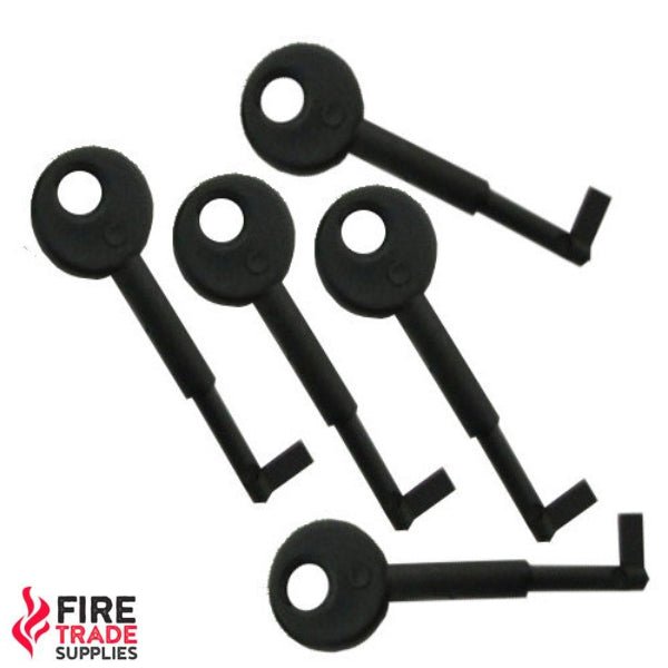 RAF45-0022 Fike Manual Call Point Test Key (Pack 5)